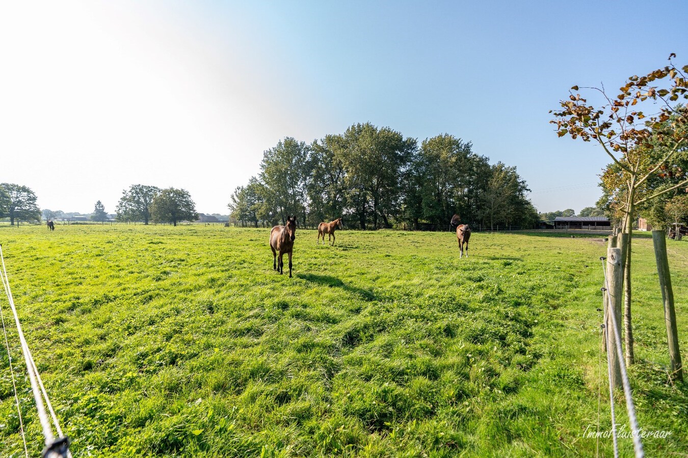 Charmante hoeve met stallen op ca. 8.000 m2  te Heist-op-den-Berg (Mogelijkheid tot aankoop extra ca. 2,7 ha weiland) 