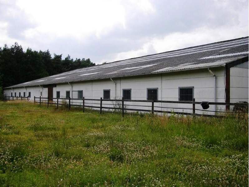 Paardenstoeterij op ca. 6ha met binnen-en butienpiste 