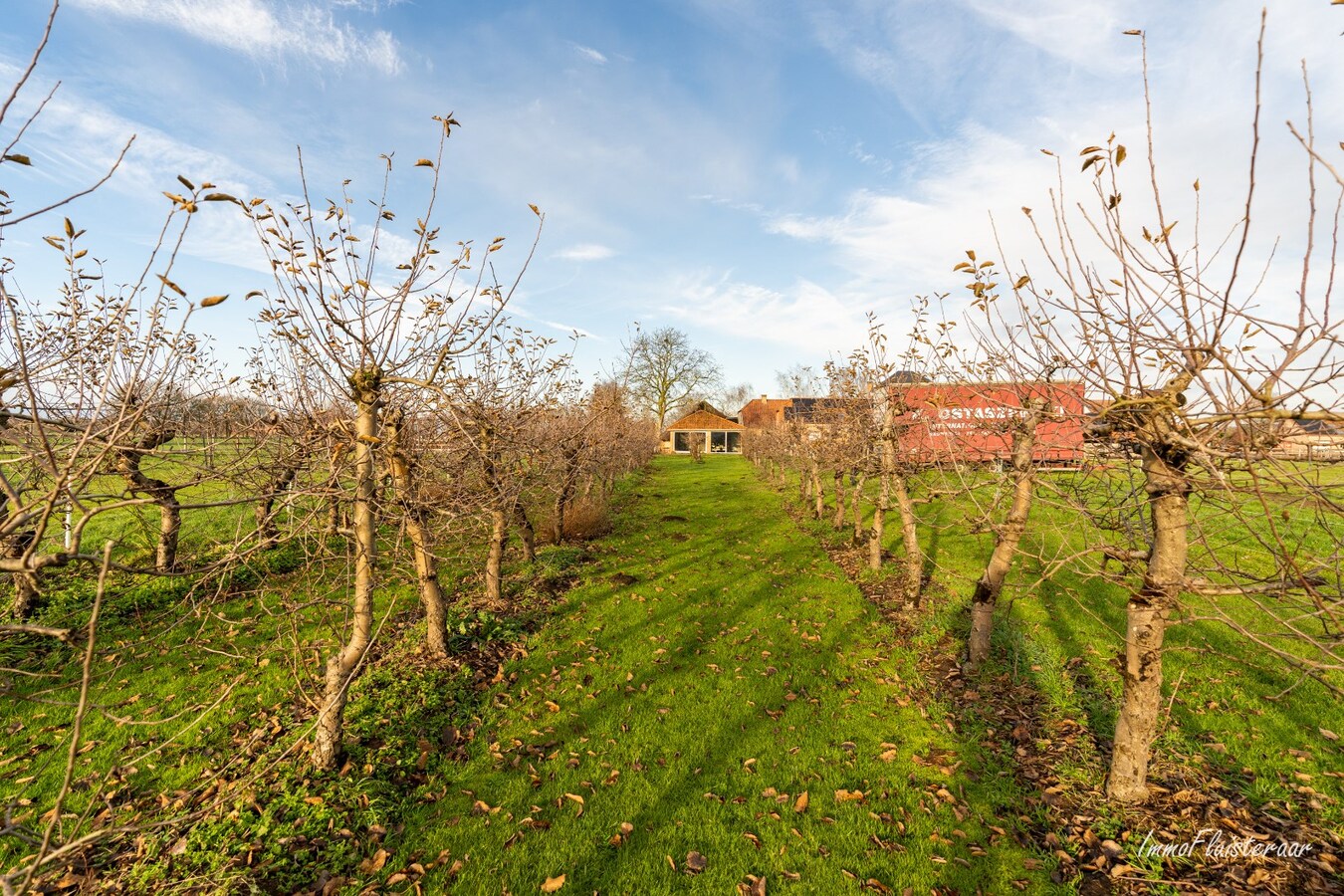 Charmante Woning, B&amp;B met horeca accommodatie op ca. 2,4 ha te Laakdal 