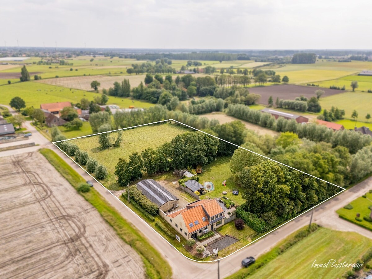 Ruime woning met stalgebouw en weide op ca. 1,1 ha te Wuustwezel 