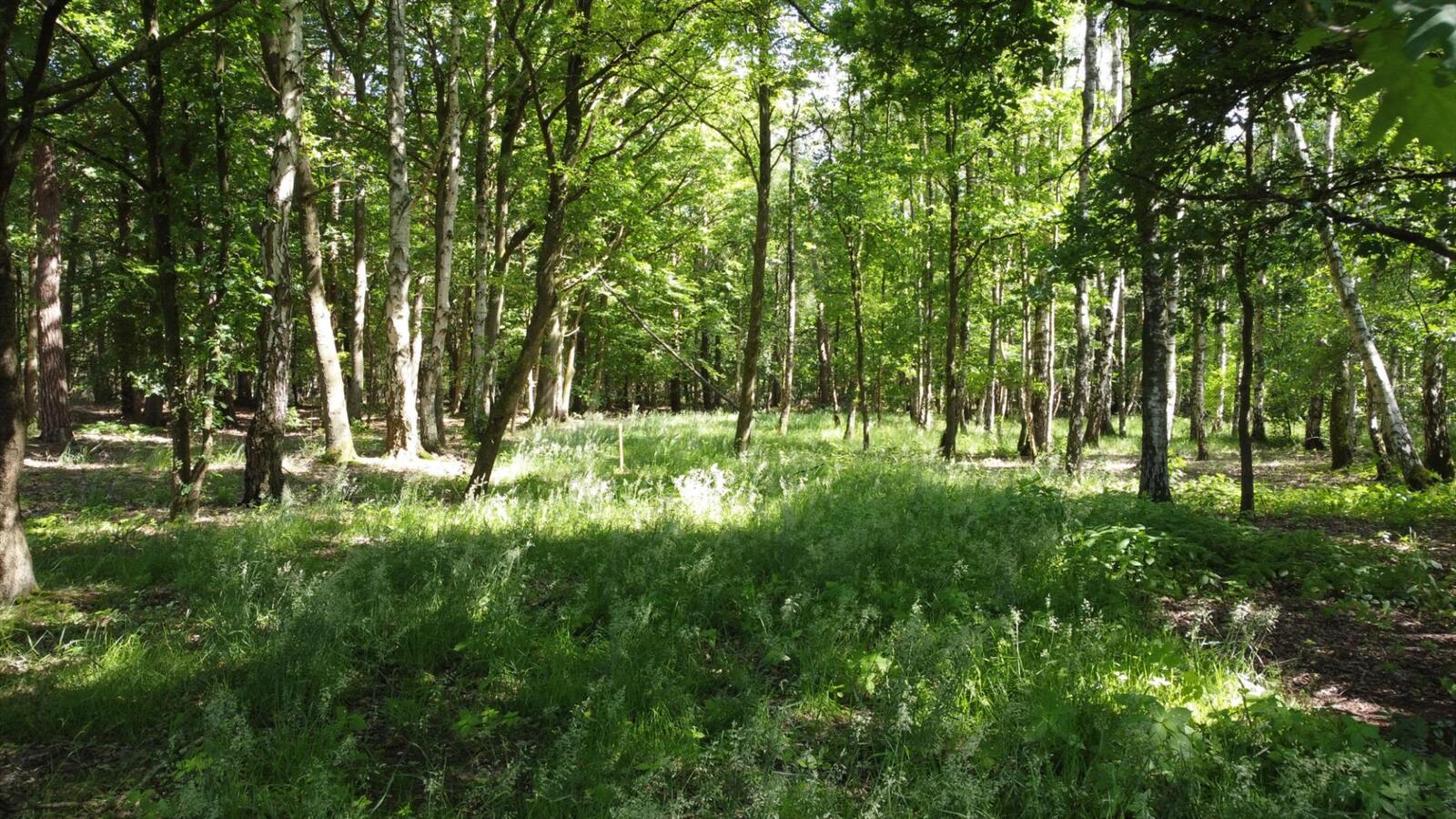 Uitzonderlijk rustig gelegen perceel van 2.500 m&#178; met priv&#233; oprijlaan van ca. 60 m grenzend aan natuurgebied te Brecht. 