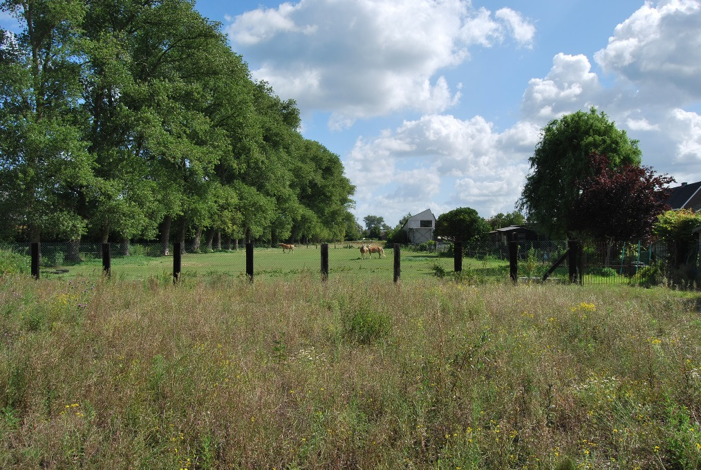 Op te frissen woning met loods op ca. 1,4ha te Deinze 