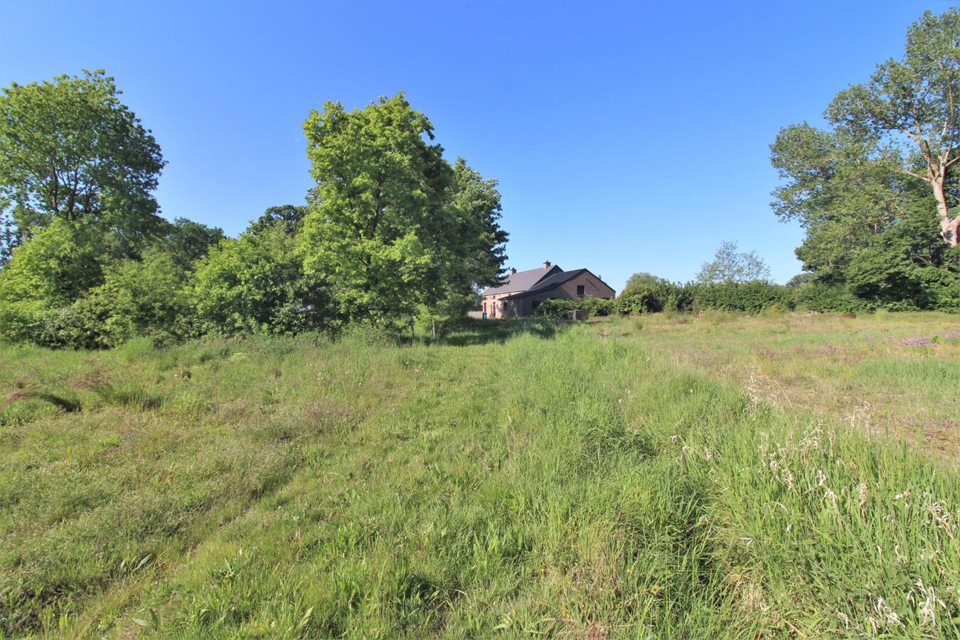 IN OPTIE - Rustig en landelijk gelegen hoeve met aanhorigheden en weiland op ca. 1,35ha te Rillaar (Vlaams-Brabant) 