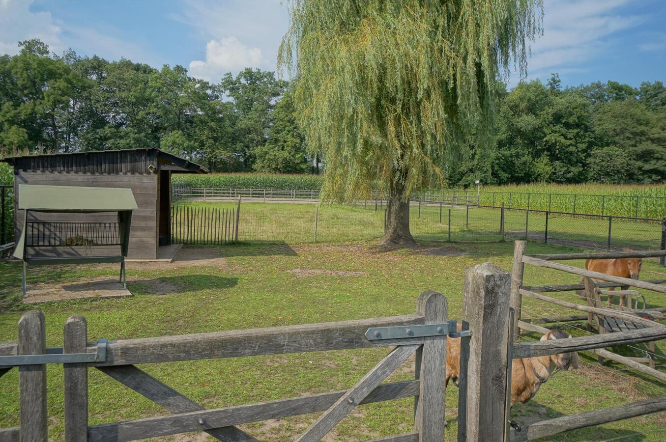 Landhuis met stallen, piste en weide op ca. 3800m&#178; te Neerpelt (Limburg) 