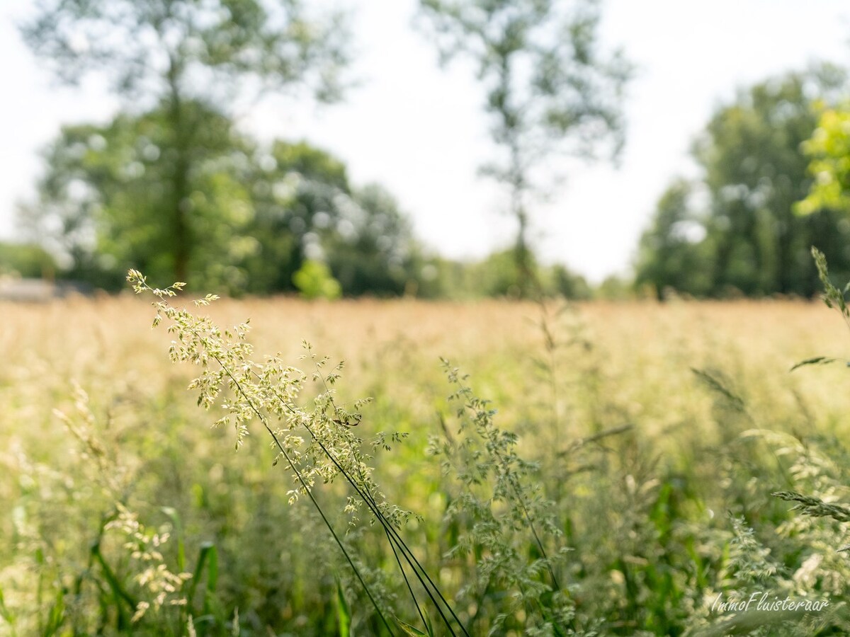 Propriété a vendre À Balen