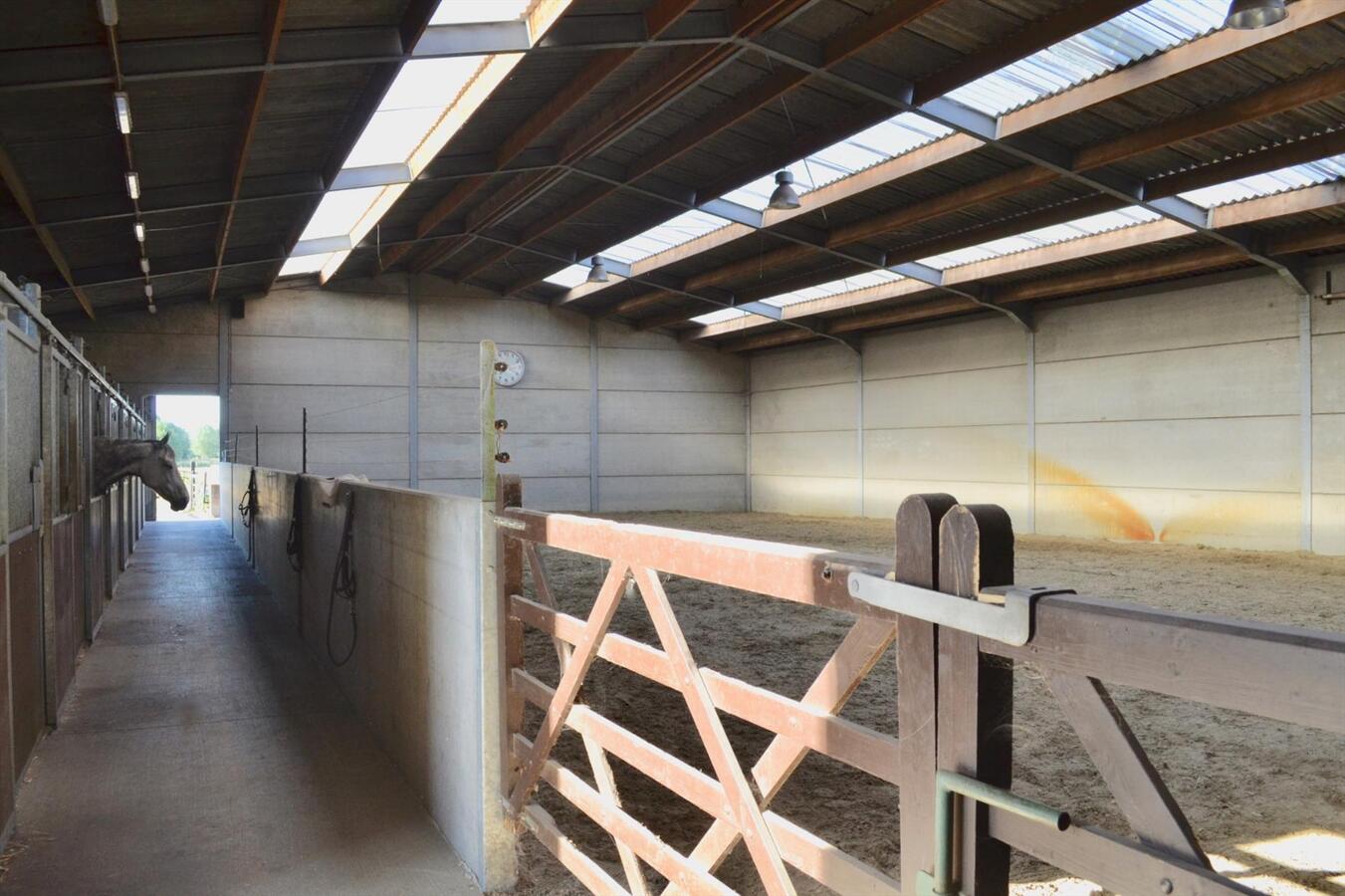 Unieke kans op paardenaccommodatie met binnenpiste (15m x 30m) en appartement op ca. 1,3 Ha te Waasmunster - NIEUWE PRIJS 