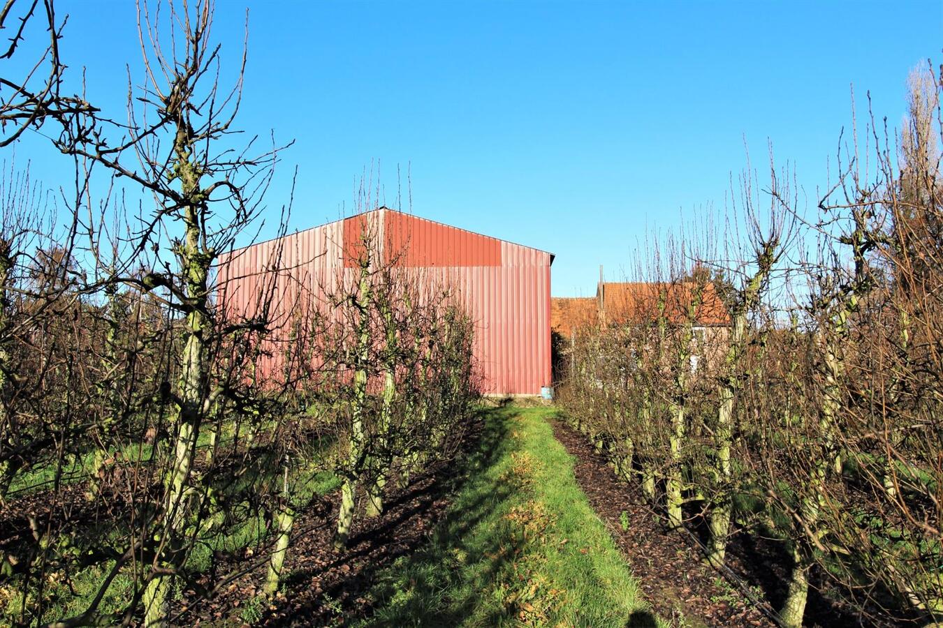 Te renoveren woning met aanhorigheden, grote loods en weilanden op ca. 2ha te Kortenaken (Vlaams-Brabant) 