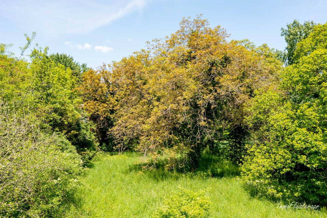 Maison calme et situ&#233;e &#224; la campagne avec d&#233;pendances sur environ 1,28 ha &#224; Bekkevoort (Brabant flamand). 