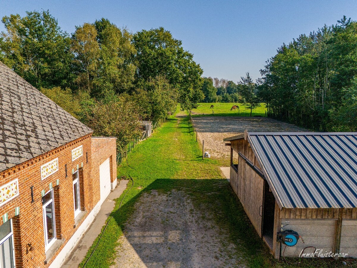 Charmante hoeve met stallen op ca. 8.000 m2  te Heist-op-den-Berg (Mogelijkheid tot aankoop extra ca. 2,7 ha weiland) 