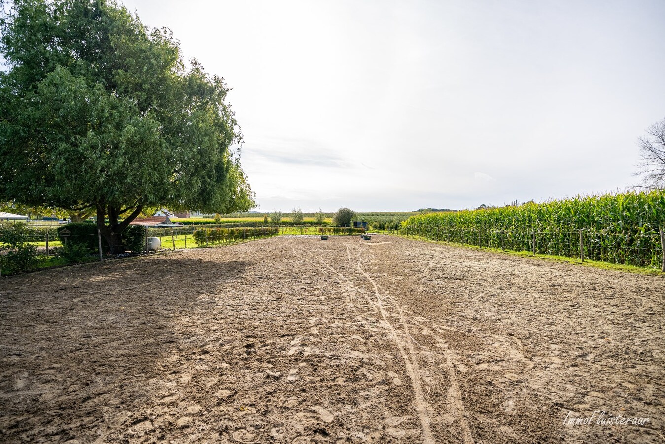 Charmante instapklare woning met paardenfaciliteiten op ca. 75a te Waanrode. 