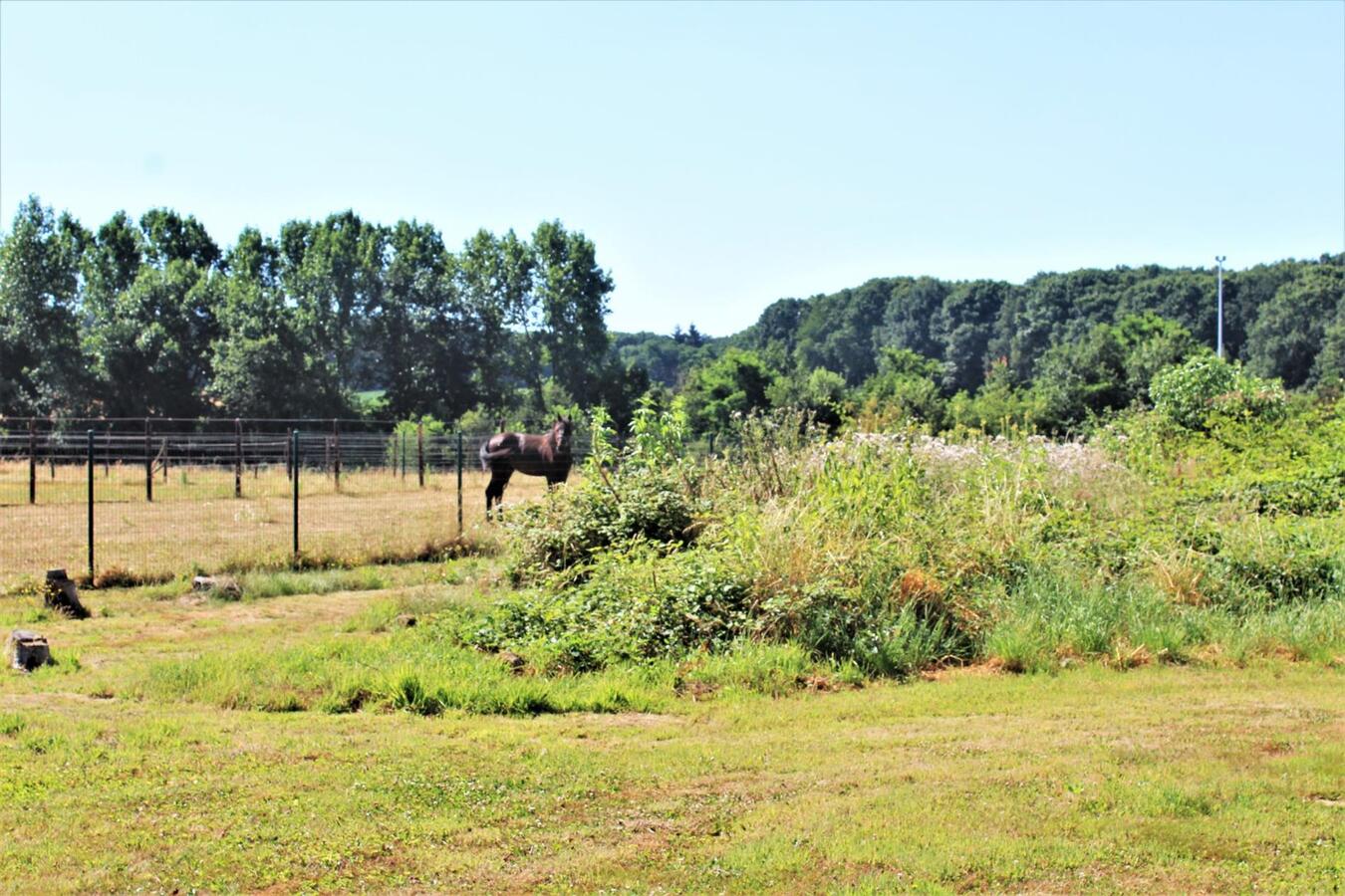 Charmante en instapklare woning met weide op ca. 1ha te Aarschot (Vlaams-Brabant) 