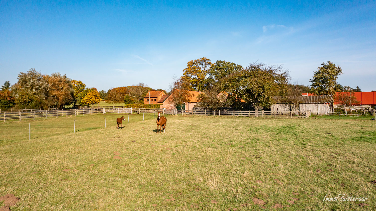 Charmante hoevewoning met garage/magazijn, recent stalgebouw, aanhorigheden en weiland op ca. 1,6ha te Diest (Vlaams-Brabant) 