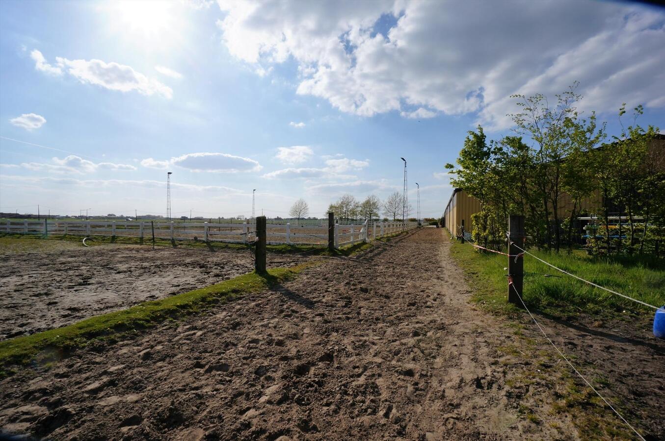 Farm sold in Loenhout