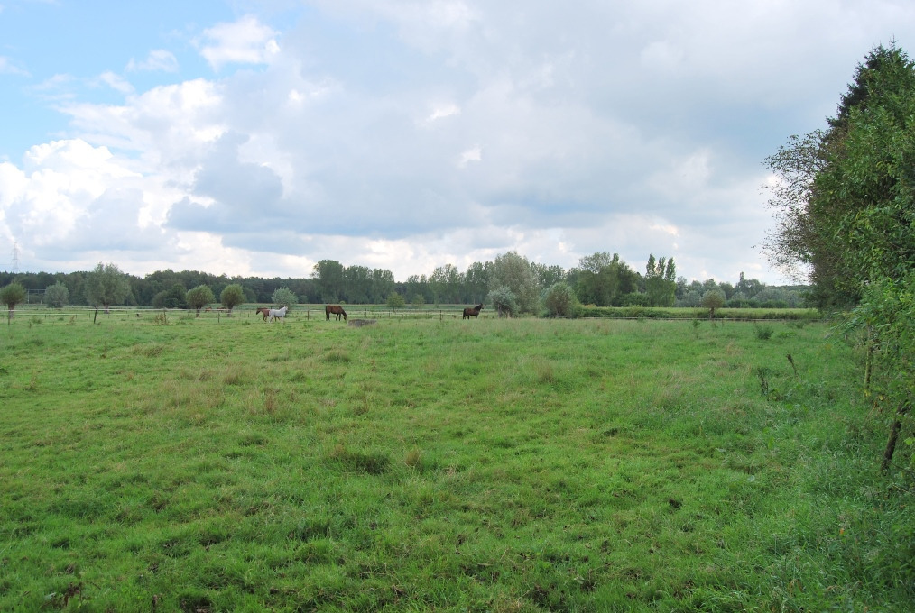 Bouwgrond/volledig te verbouwen woning op ca. 2ha te Waasmunster 