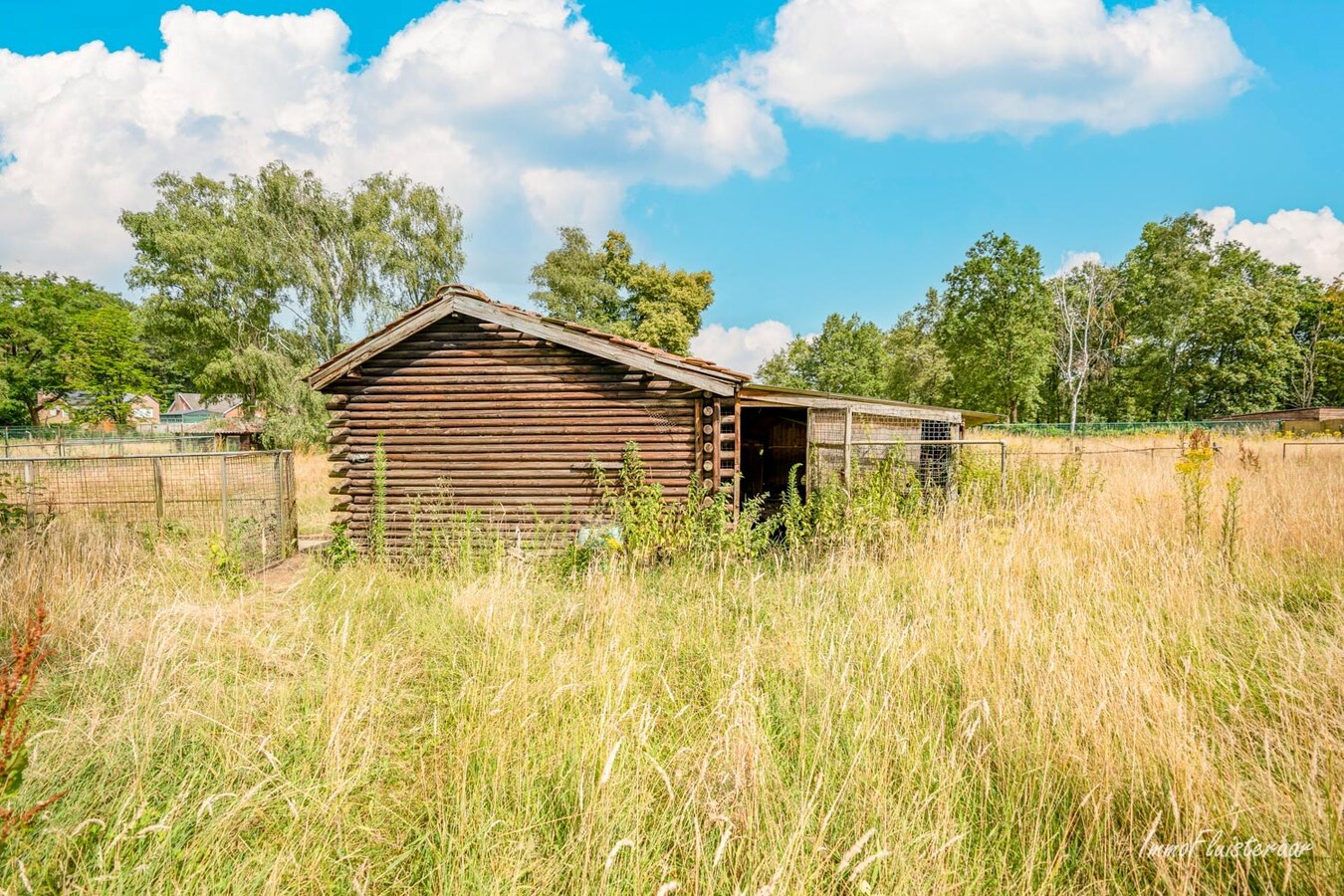 Ruime laagbouwwoning met magazijn, sierserre, aanhorigheden en stallen op ca. 75a te Messelbroek (Scherpenheuvel-Zichem; Vlaams-Brabant) 