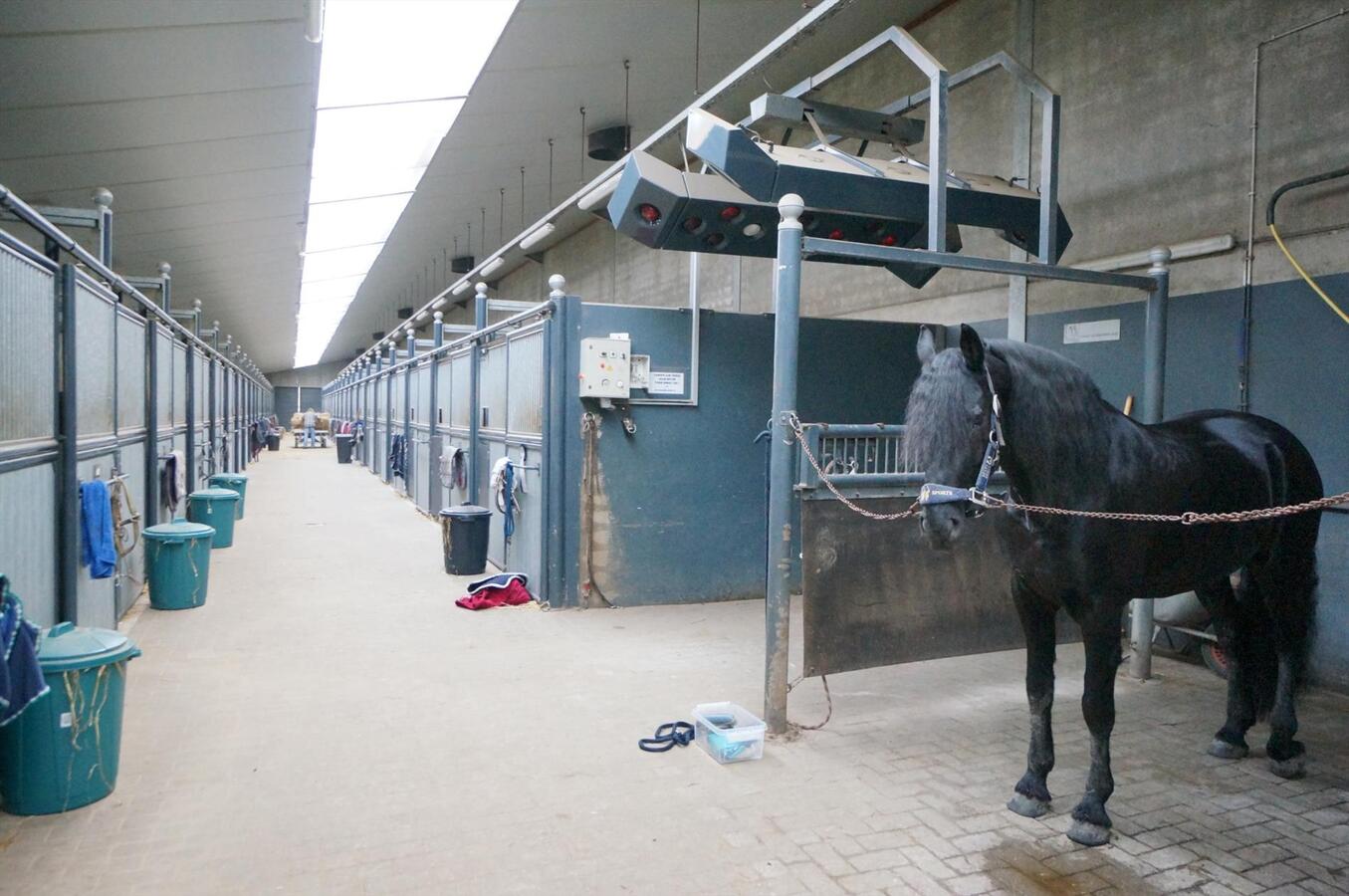 Stal Hazebroek is verkocht door Immofluisteraar en wordt Stal Veldhoven 