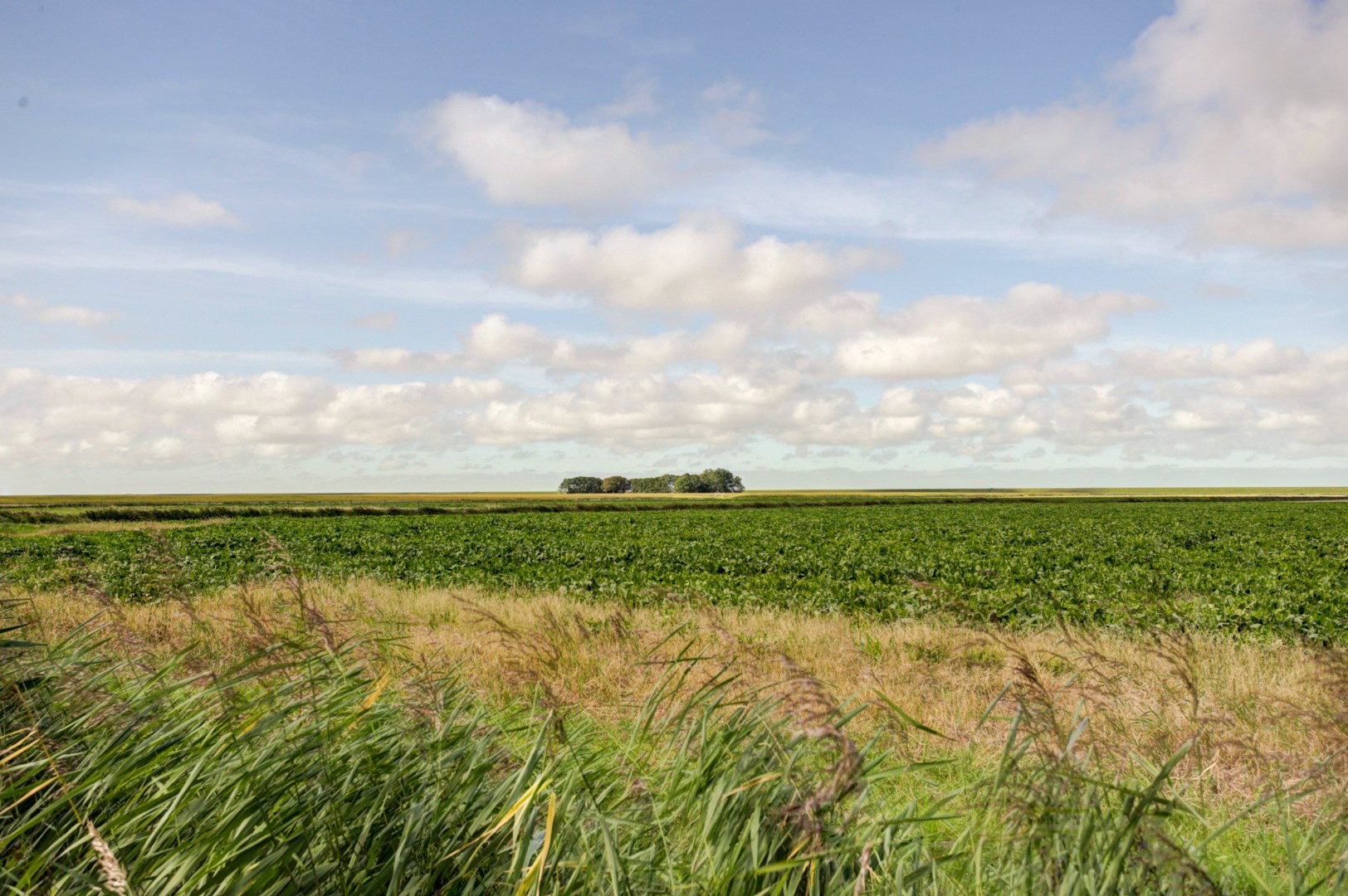 Landelijk wonen in een moderne, instapklare woning met uitzicht op de Friese Waddenzeedijk 