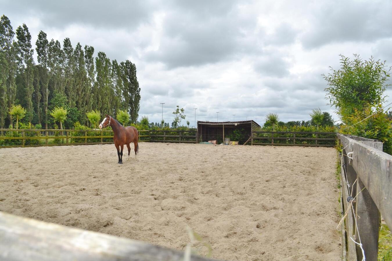 Charmante &#233;&#233;ngezinswoning met stallen en buitenpiste op ca. 5340M&#178; te Maldegem 