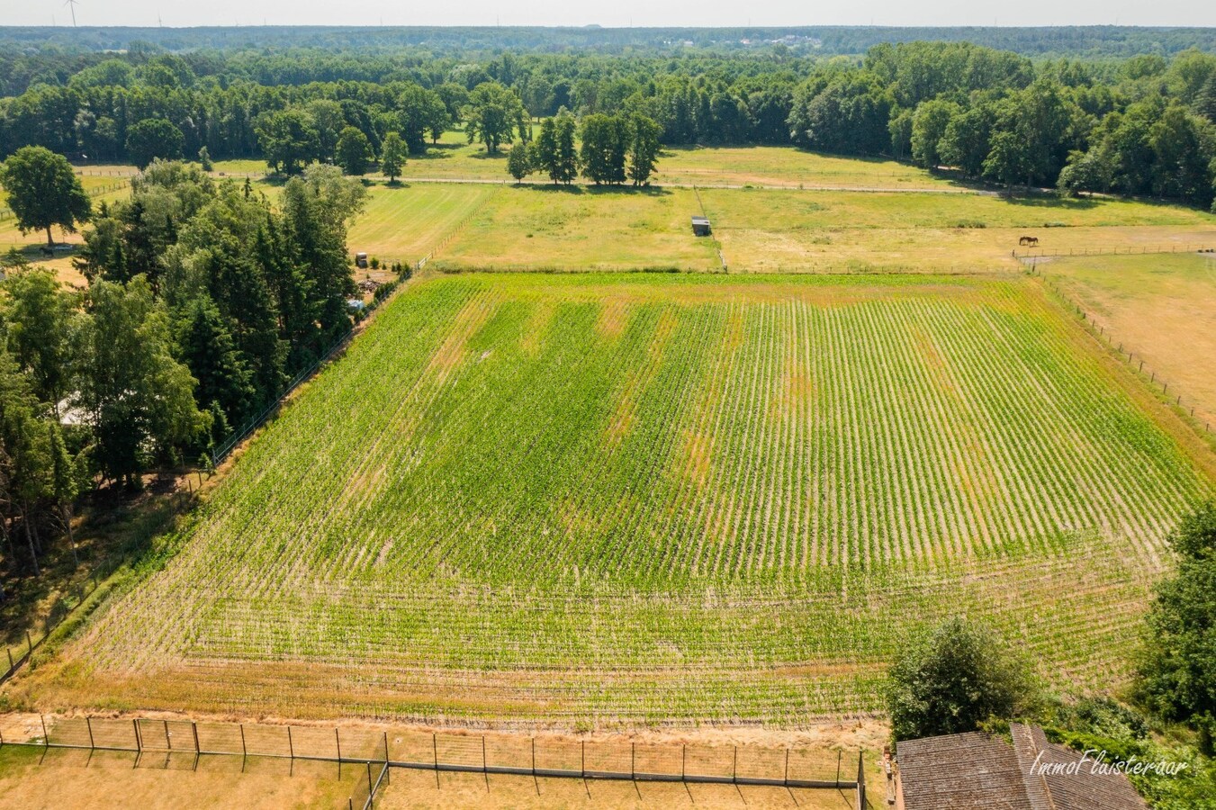 Charming house with stable and land of approximately 1.63 hectares in Opglabbeek (Oudsbergen) 