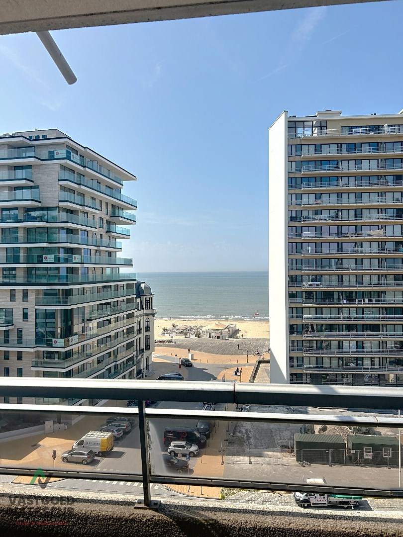 GERENOVEERDE STUDIO MET SLAAPHOEK - TERRAS - ZICHT OP ZEE 