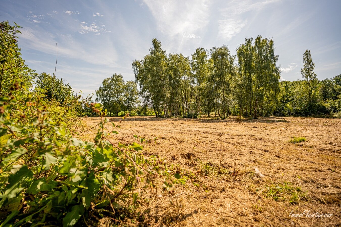 Maison soign&#233;e avec 4 &#233;curies sur environ 75 ares &#224; Tielt-Winge (Brabant flamand) 