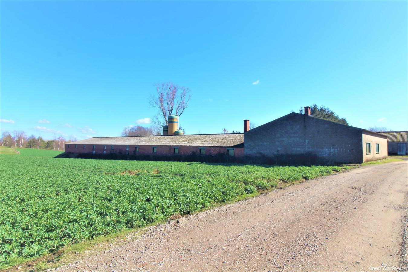 Te renoveren boerderij met hoevewoning, loods, stalgebouwen en weiland op ca. 1,61ha te Scherpenheuvel-Zichem (Vlaams-Brabant) 