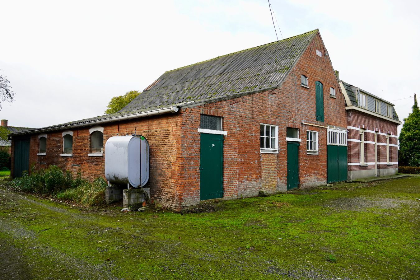 House to renovate with outbuildings and meadow on approximately 91a in Hoogstraten 