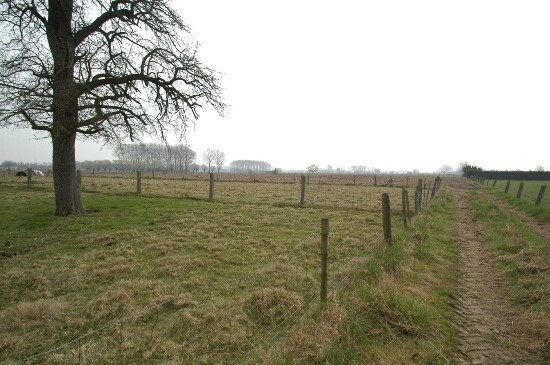 Farm sold in Nieuwenrode