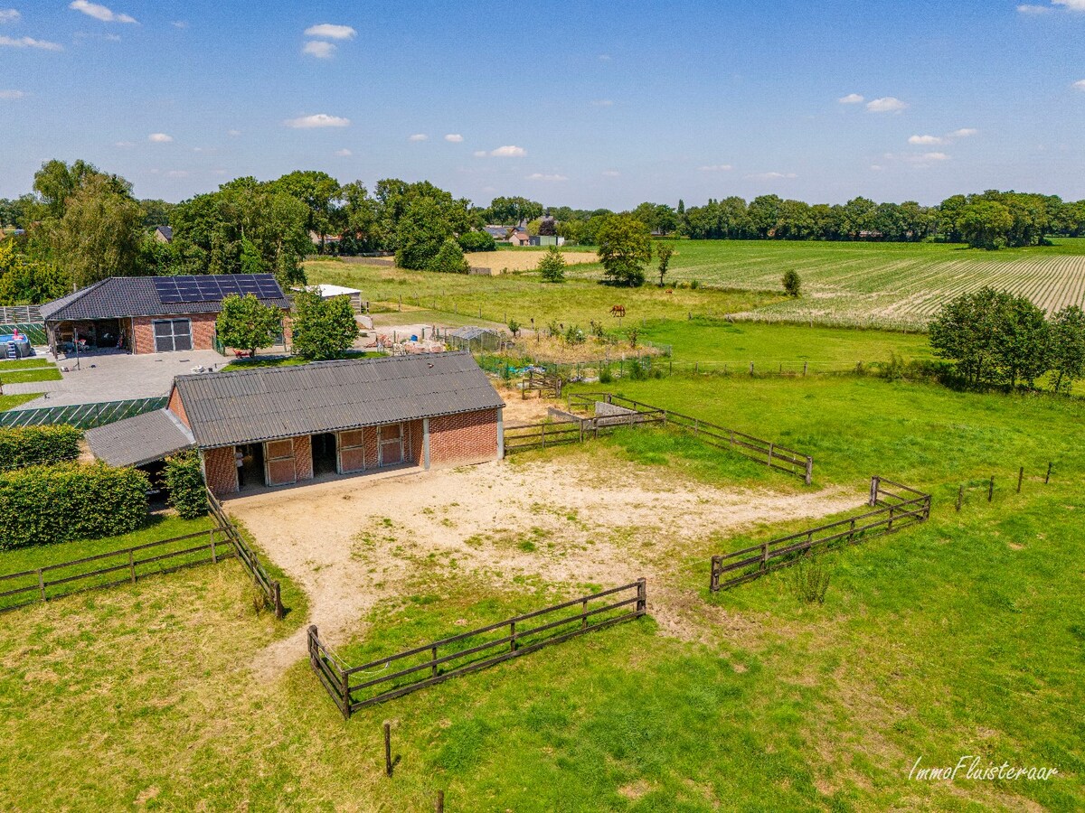 Charmante woning met paardenstallen op ca. 80 are te Peer 