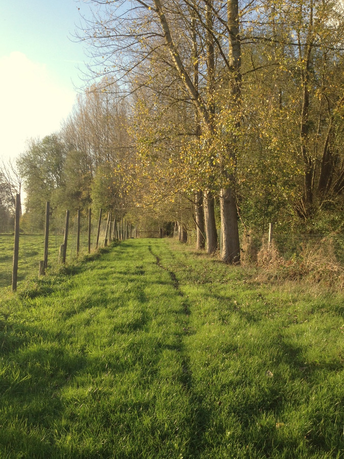 Renovatieproject op ca. 1,77ha te Geraardsbergen 