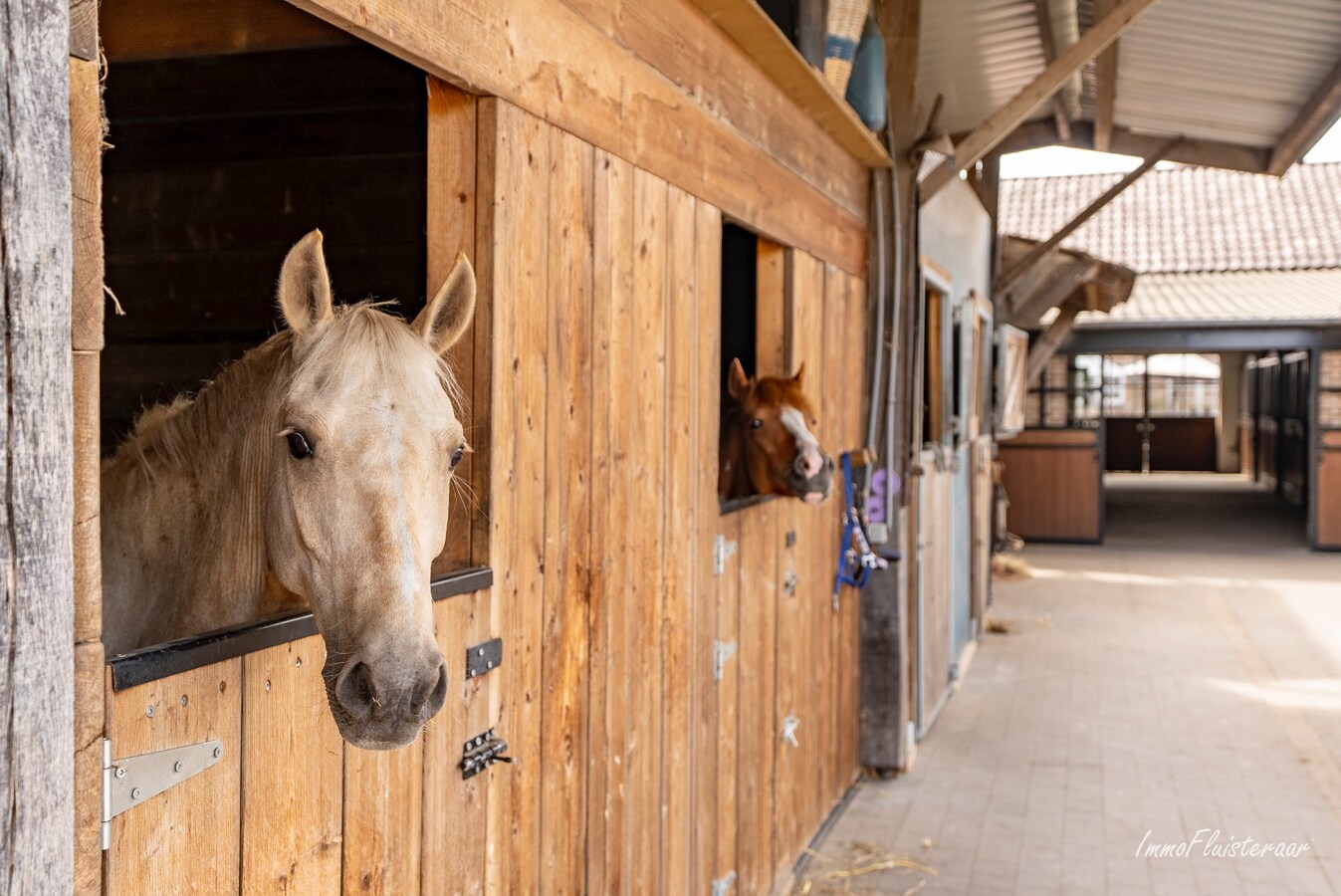 Uniek landhuis met uitgebreide paardenaccommodatie op ca. 1ha te Diepenbeek 