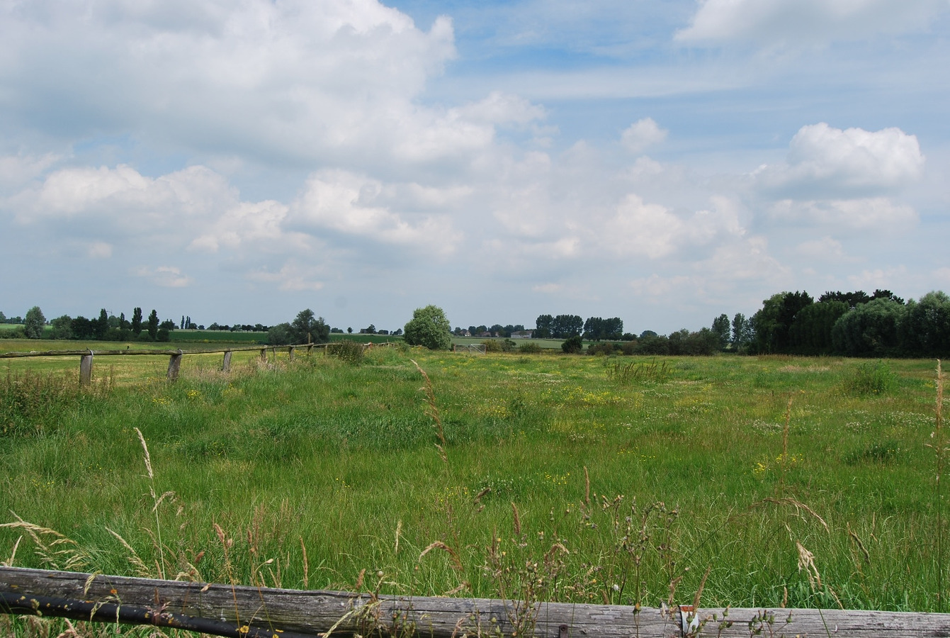 Abdijhoeve op ca. 7ha te Alveringem, Stavele 