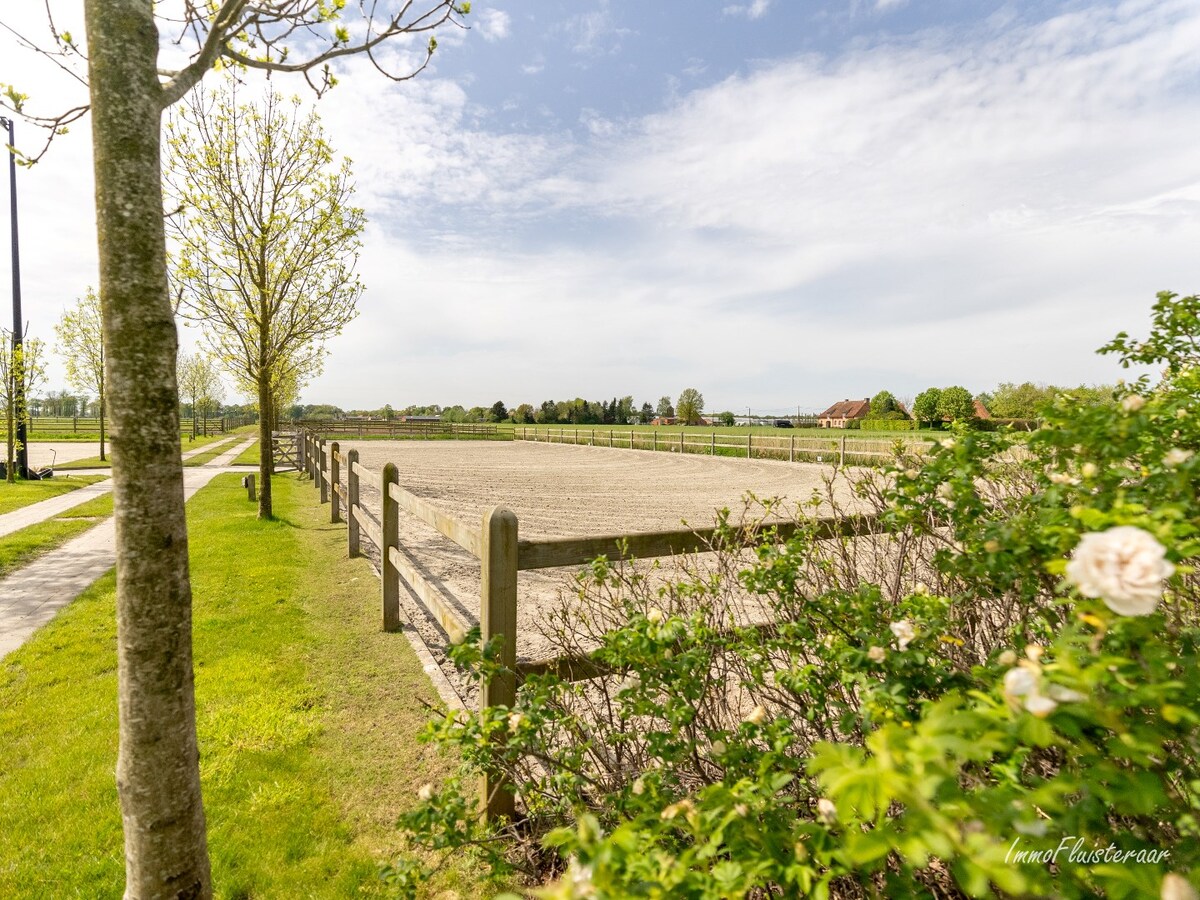 Beautiful equestrian accommodation on appr.  2.4 ha/5,94 acres in Meerle/Hoogstraten 