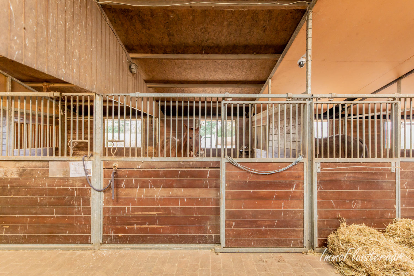 Charmante woning met paardenaccommodatie op 3,7ha te Rijkevorsel 