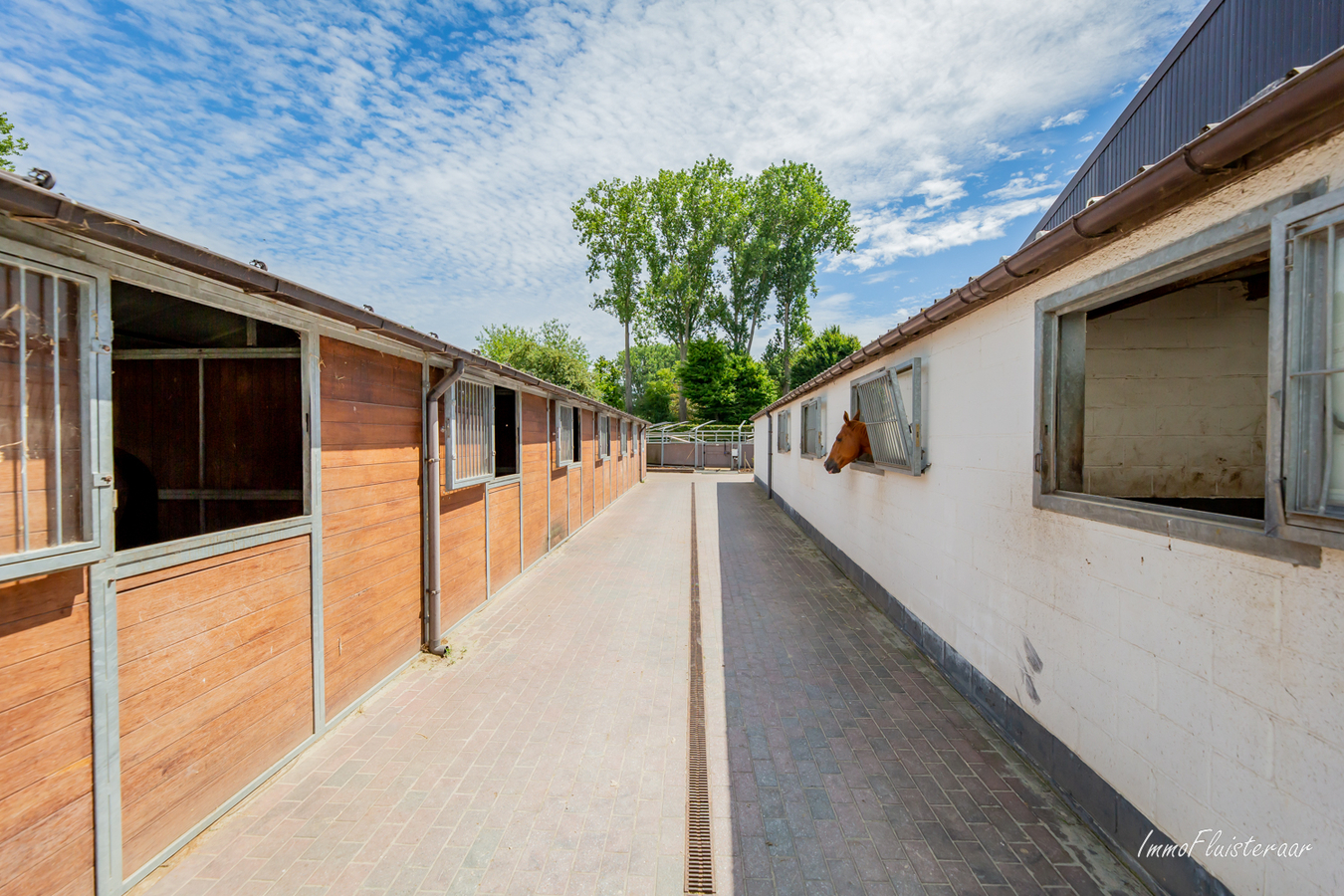Professional equestrian property on approximately 4ha/9ac at Lennik (Flemisch Brabant) 