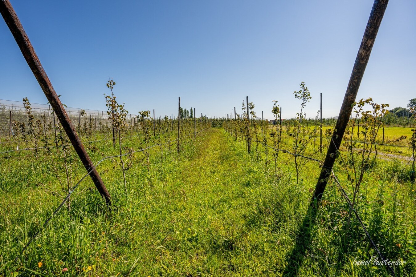 Bouwgrond met loods op ca. 54 are te Herk-de-Stad 