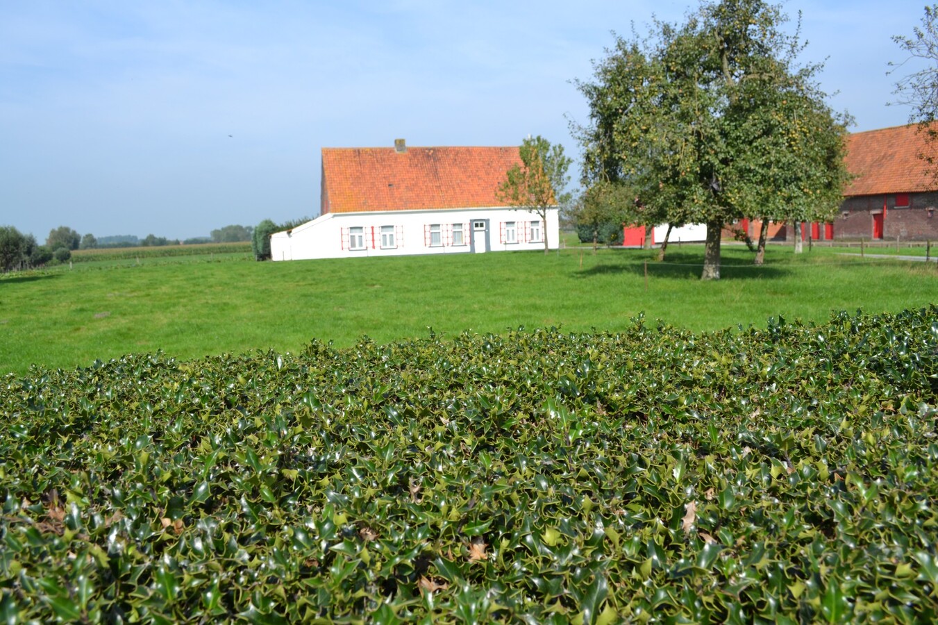 Te renoveren hoeve op ca. 3Ha te Knesselare 