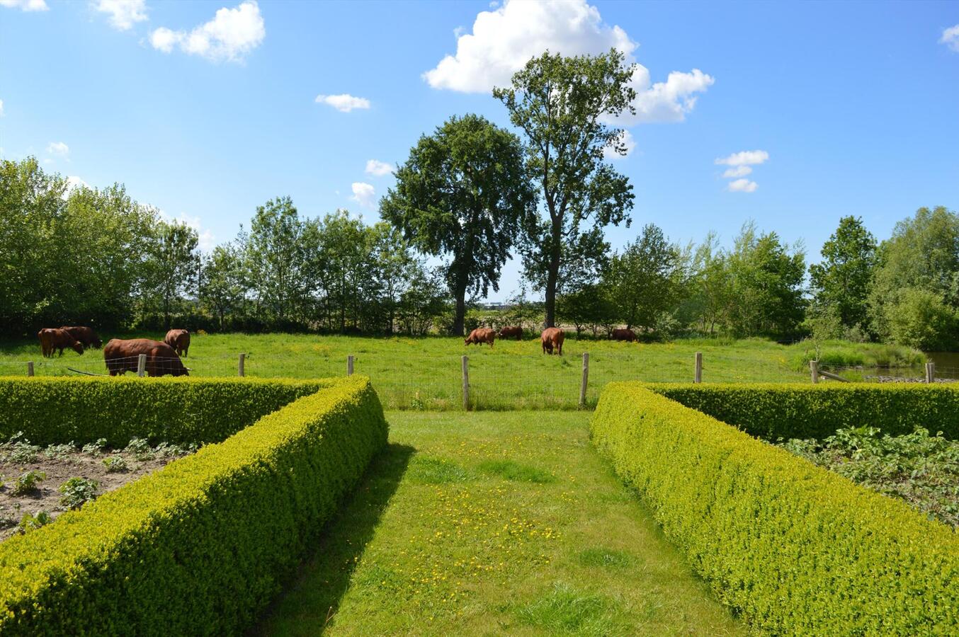 Recente woning met stalgebouwen op ca. 1 ha te Hooglede 