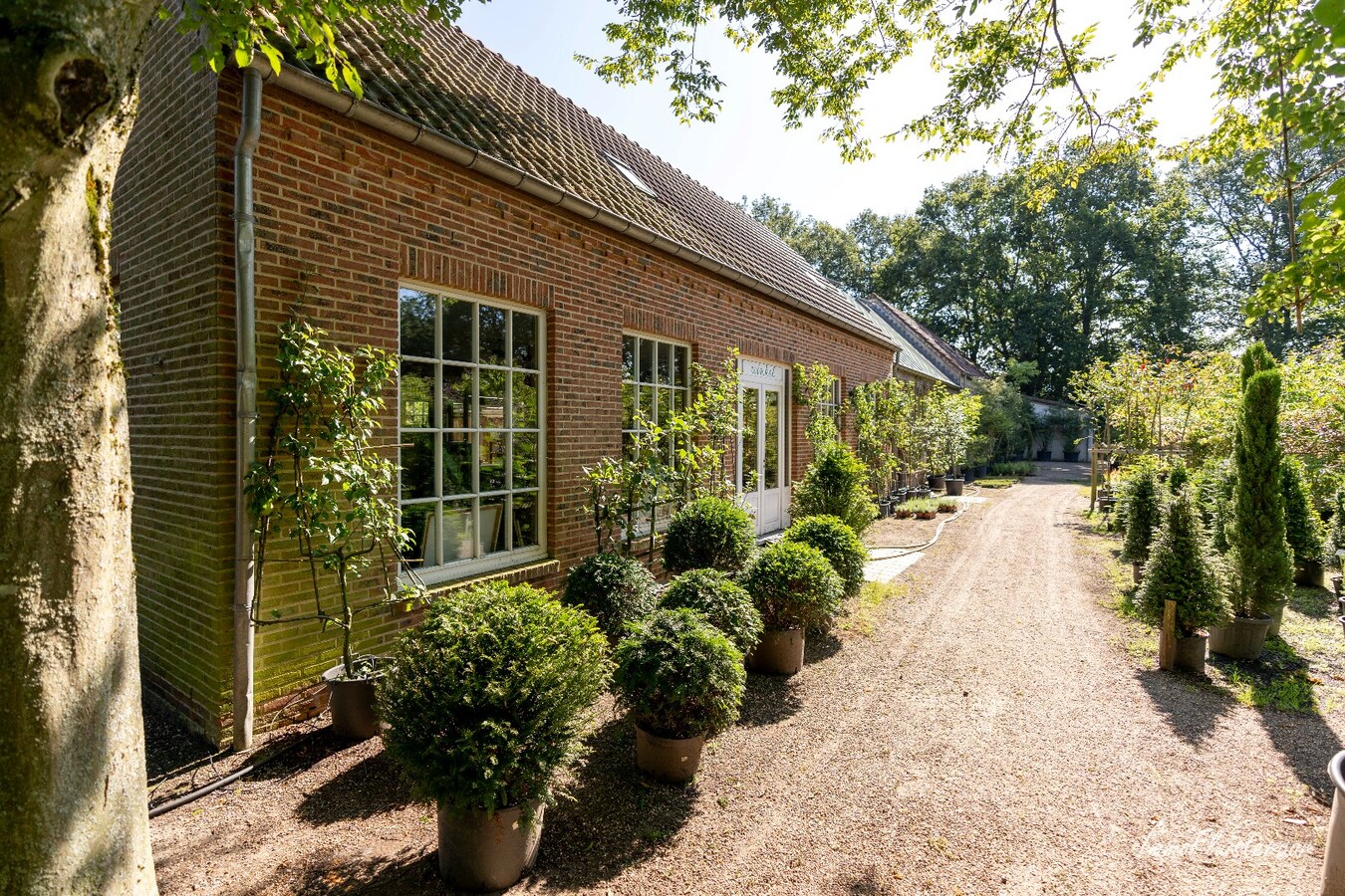 Beautiful villa with outbuildings and conservatories on approximately 5 hectares in Itegem. 