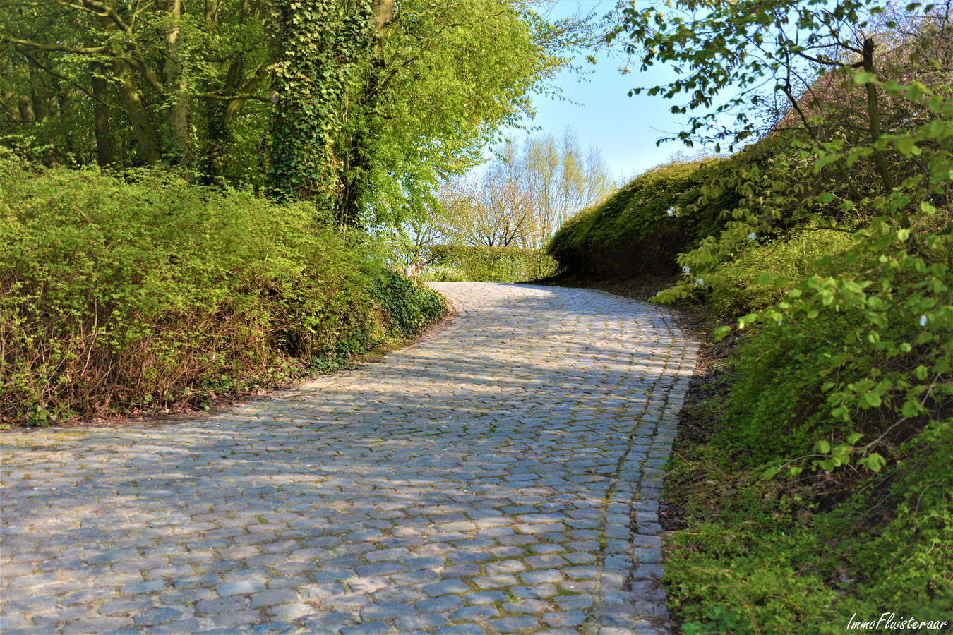 Magnifique propri&#233;t&#233; avec grande habitation, &#233;curies, salle polyvalente, terrain &#224; b&#226;tir et prairies sur environ 1,67ha &#224; Ellezelles (Hainaut) 