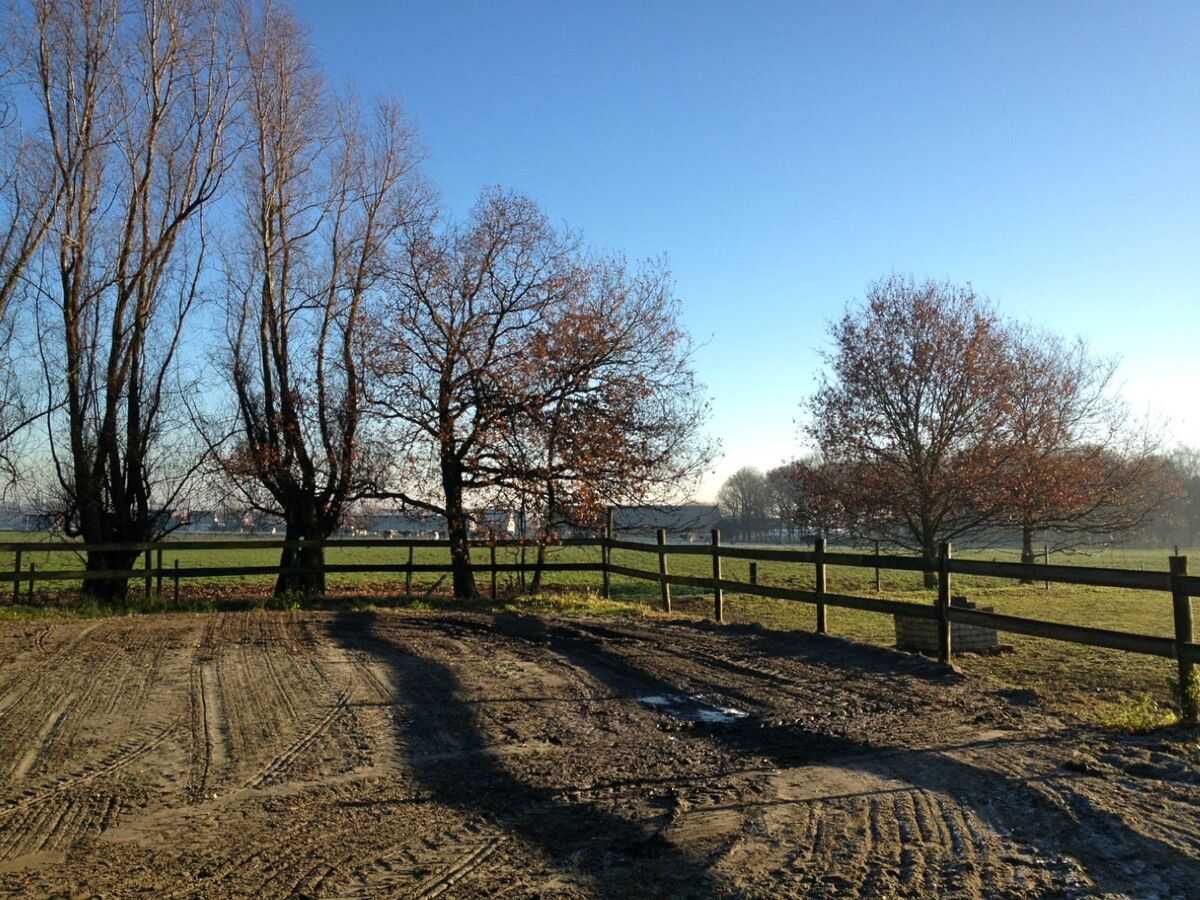 Weide met stalgebouw, buitenpiste en paddock op ca.1,5ha te Kontich 