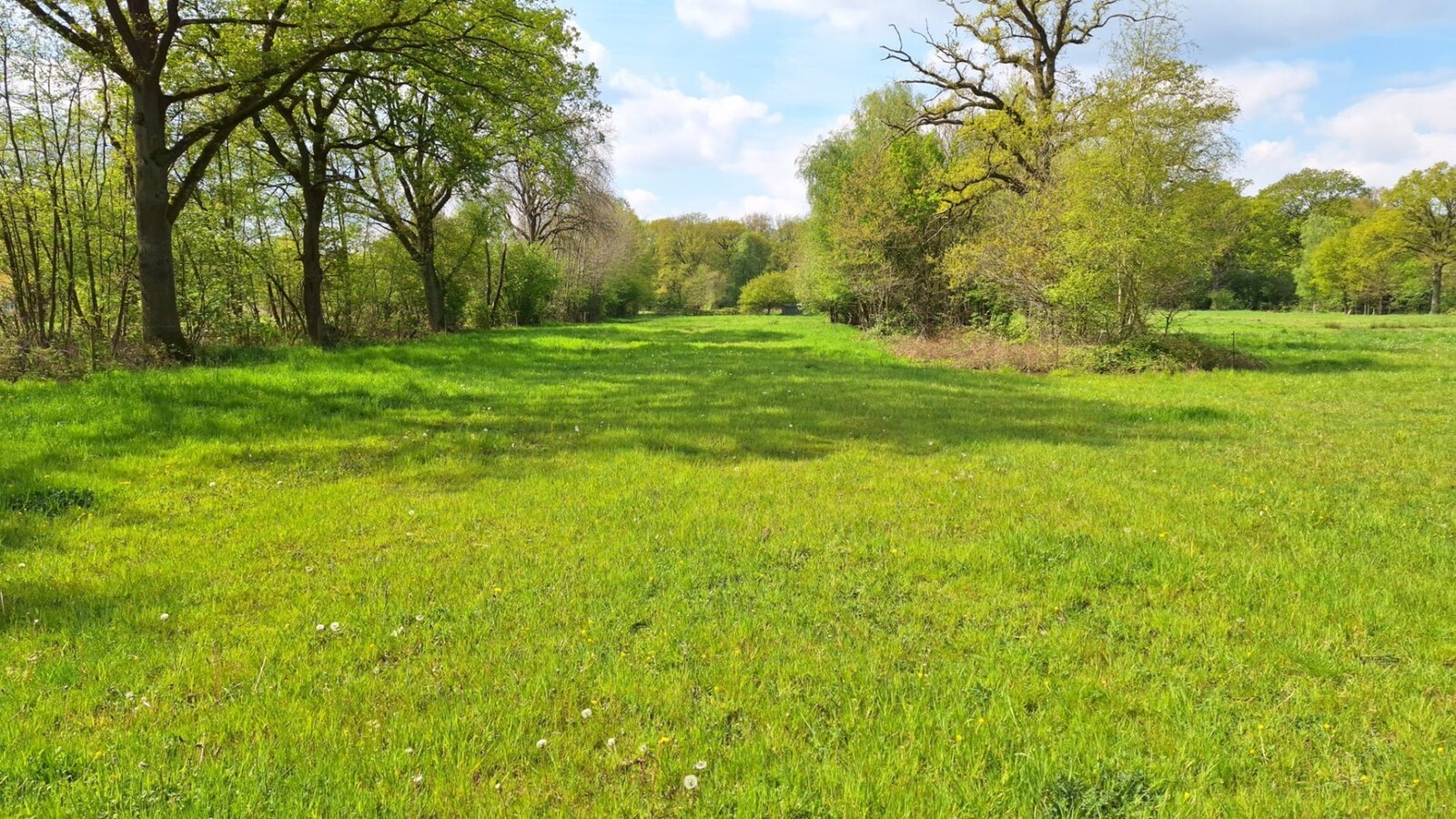 Weiland met schuilstal op ca. 1,32 ha te Neeroeteren 