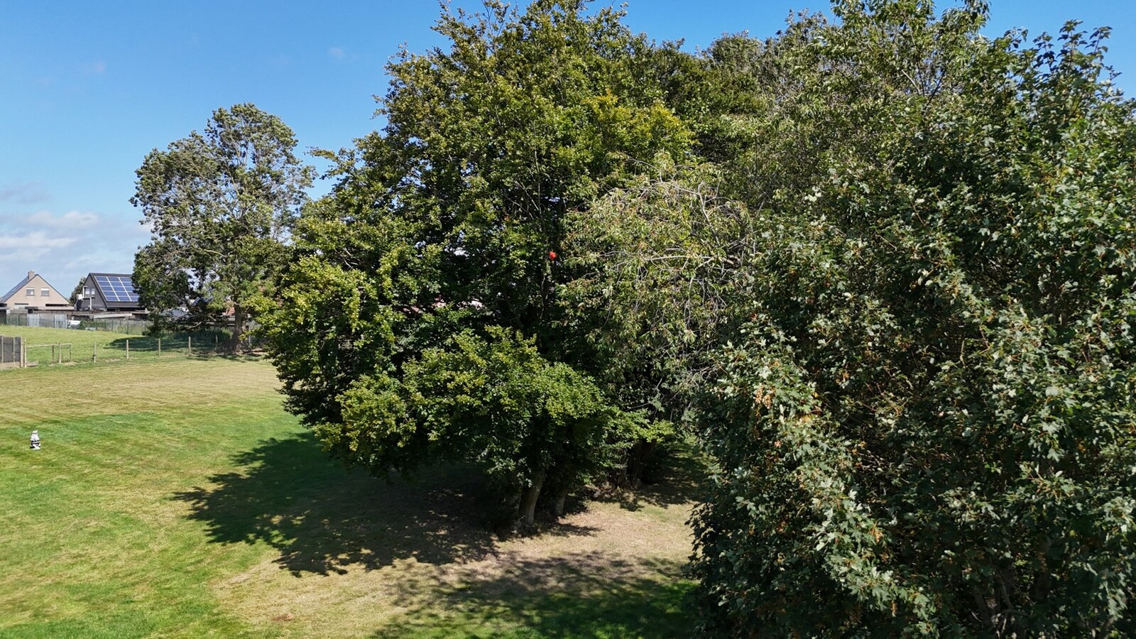 Lot bouwgrond gelegen in het centrum van Houthulst 