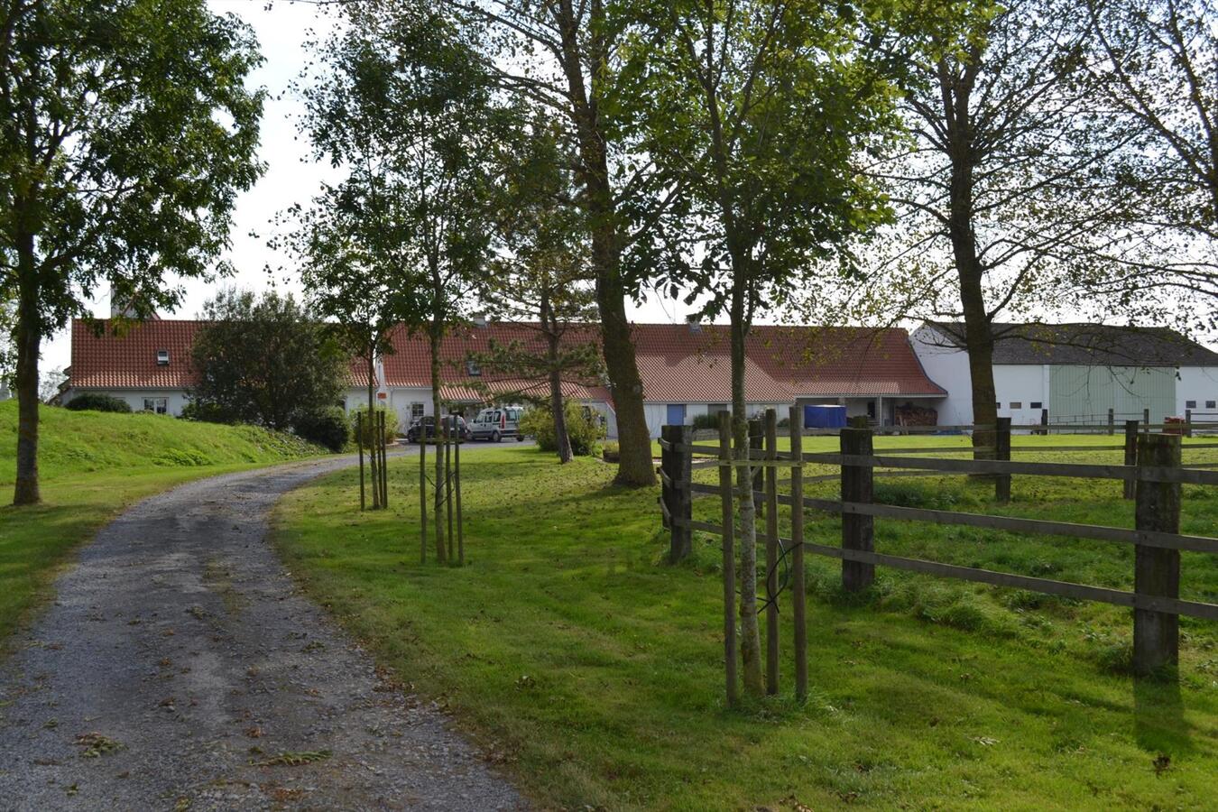 Farm sold in Alveringem