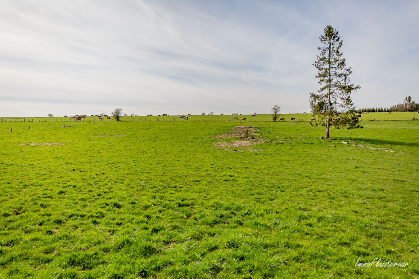 Woning met grote loods en weiland op ca. 9ha te Gr&#252;fflingen (Burg-Reuland/Luik) 