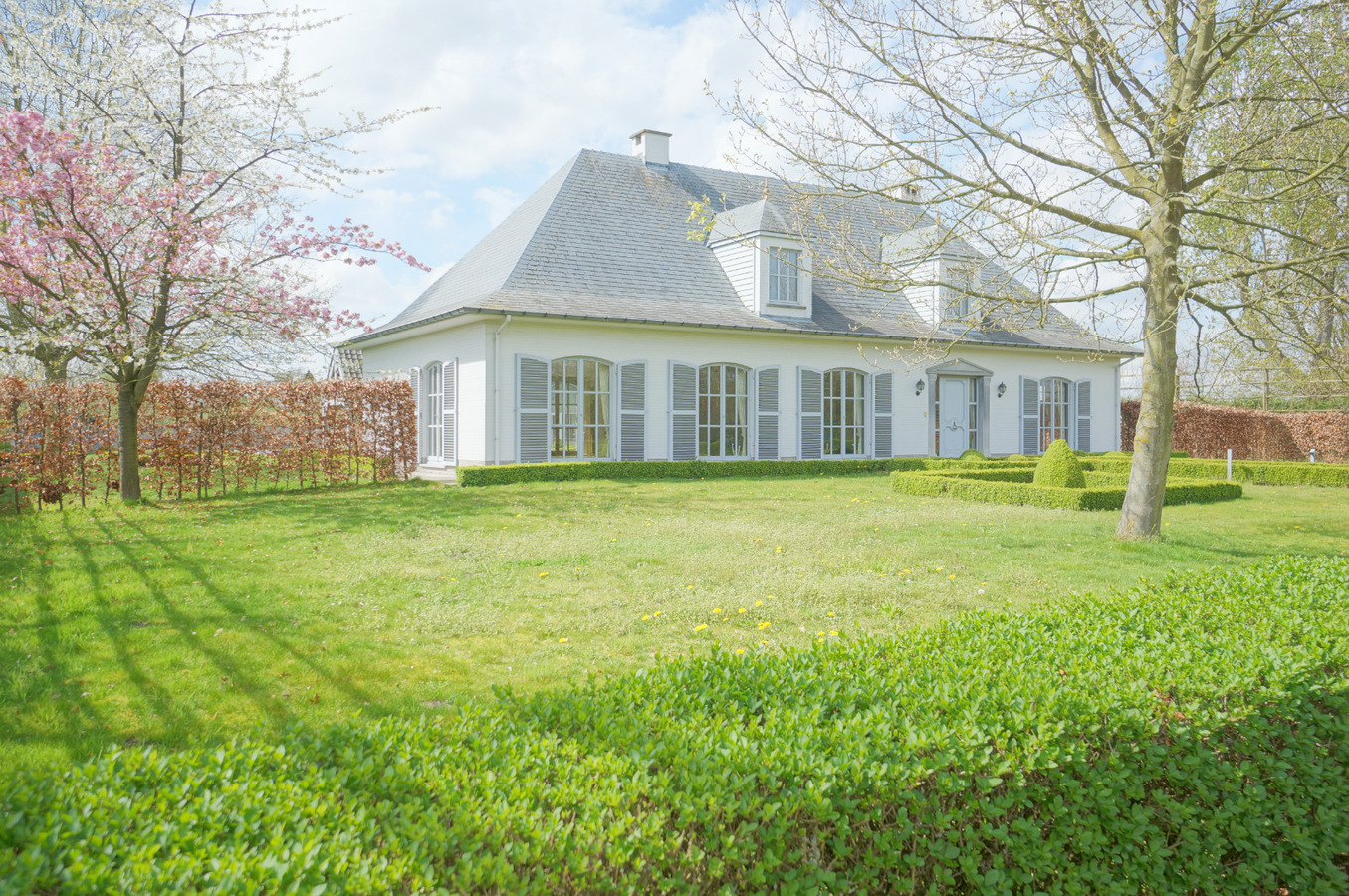 Vrijstaande villa met zwembad, poolhouse, stallen, buitenpiste en stapmolen op ca. 2,26 ha te Putte 