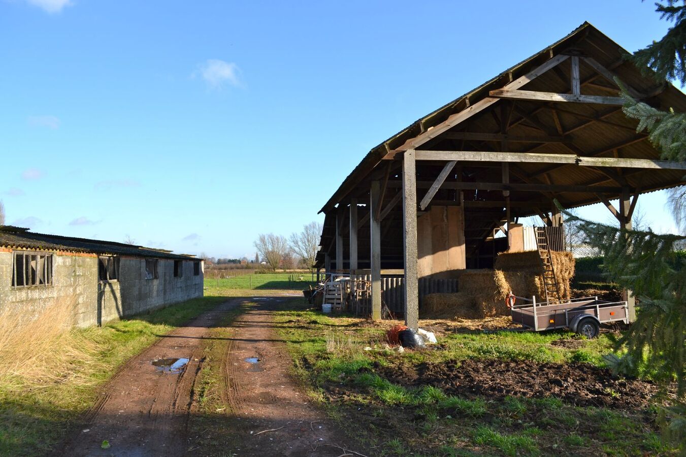 Te renoveren hoeve te St-Pauwels op 1,37Ha 