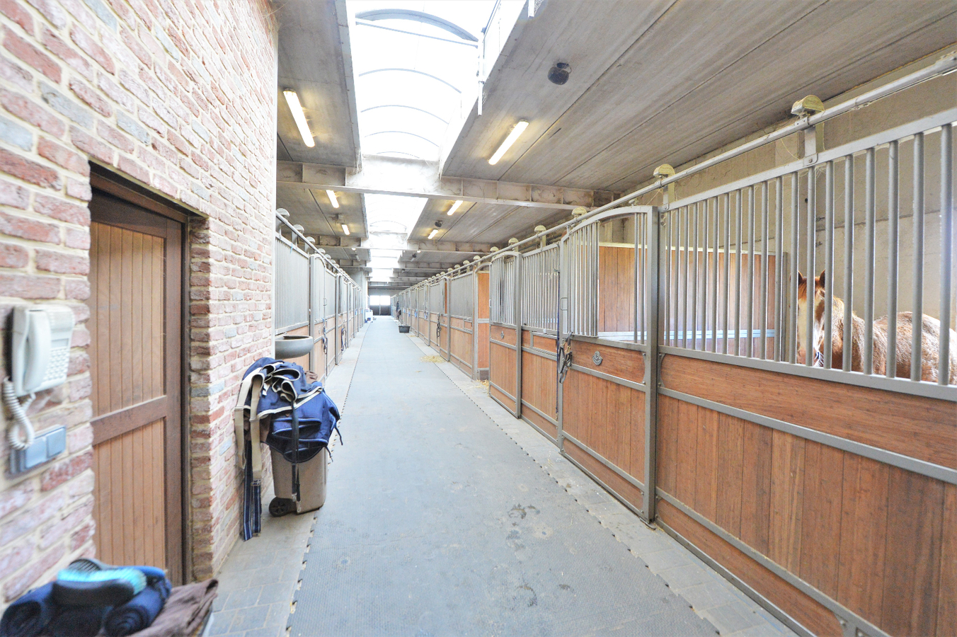 Exclusive professional equestrian center on more than 16ha at Rebecq (Walloon Brabant; Brussels; Belgium) 