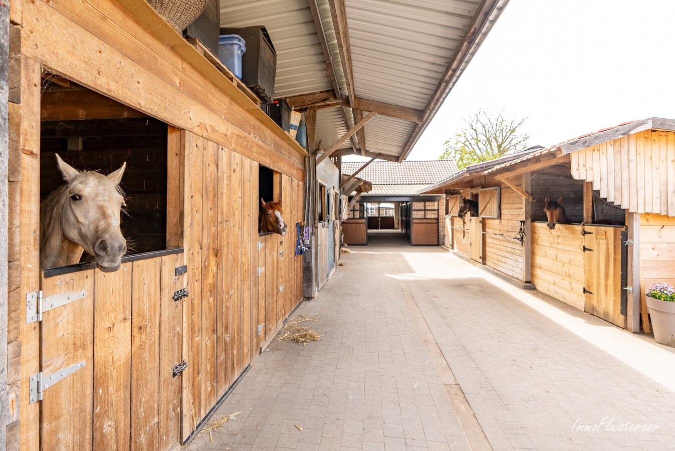 Uniek landhuis met uitgebreide paardenaccommodatie op ca. 1ha te Diepenbeek 