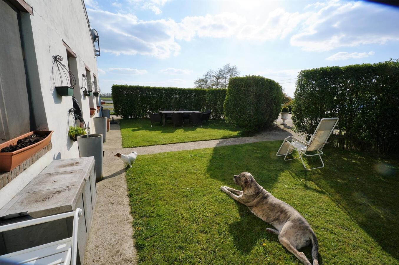 Farm sold in Loenhout